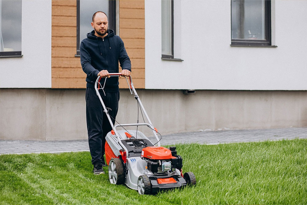 Top 5 Plant Maintenance Mistakes Dubai Residents Make and How to Avoid Them
