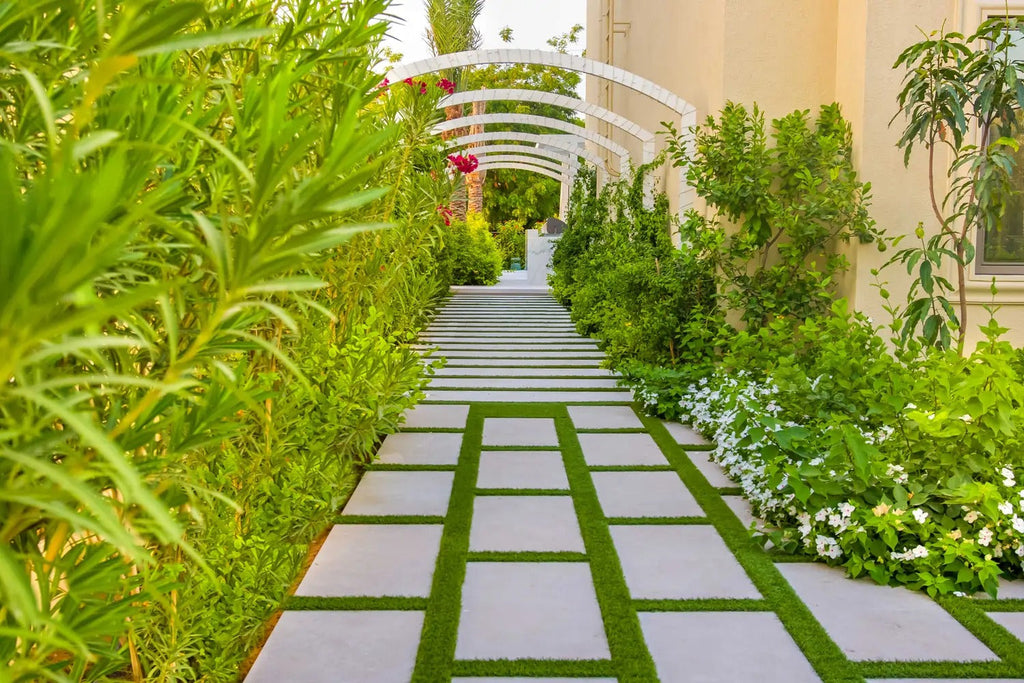 Creating Your Dream Outdoor Space on a Budget