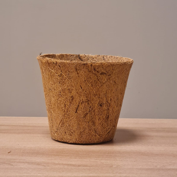 Coconut Husk Pots