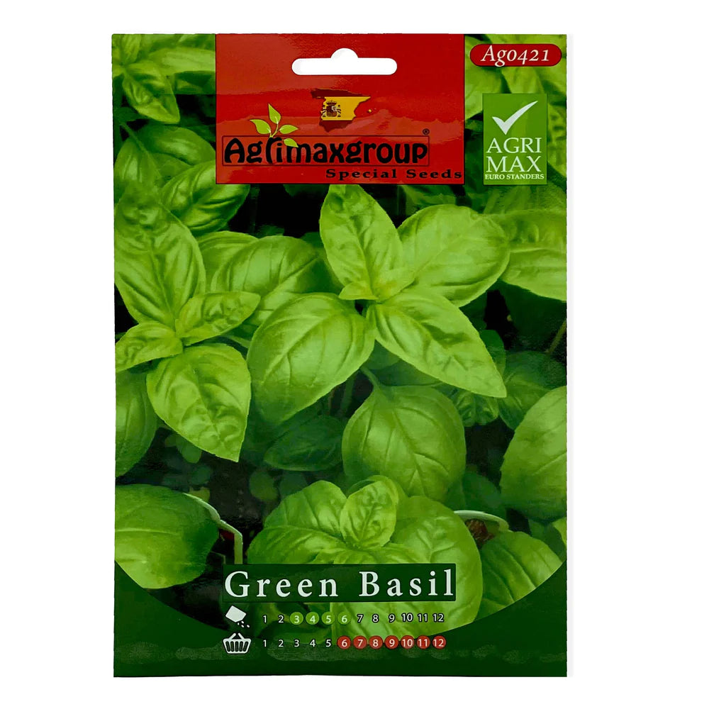 Green Basil Seeds