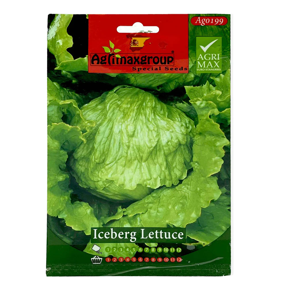 Iceberg Lettuce Seeds