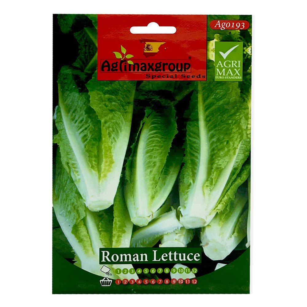 Romaine Lettuce Seeds