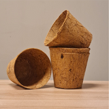 Coconut Husk Pots